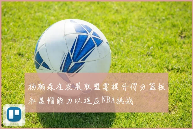 杨瀚森在发展联盟需提升得分篮板和盖帽能力以适应NBA挑战