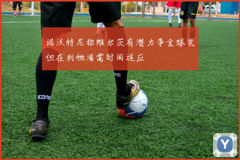 诺沃特尼称维尔茨有潜力争金球奖但在利物浦需时间适应