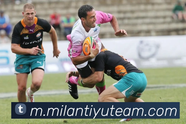 米兰体育APP 封面图